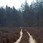 îki Nature Lodge, Boutique Forest In The Veluwe Forest Hébergement de vacances *