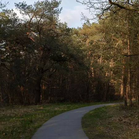 Hébergement de vacances îki Nature Lodge, Boutique Forest In The Veluwe Forest *