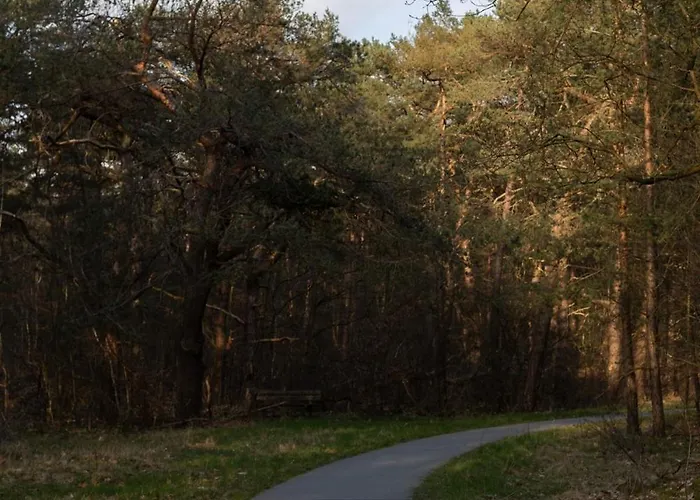 Holiday home Iki Nature Lodge, Boutique Forest In The Veluwe Forest *