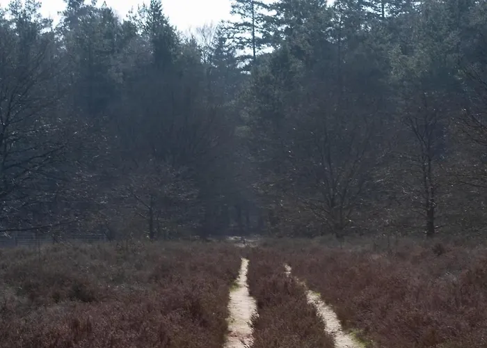 Iki Nature Lodge, Boutique Forest In The Veluwe Forest Holiday home *