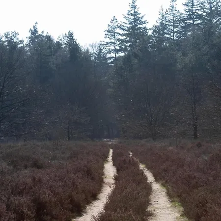 îki Nature Lodge, Boutique Forest In The Veluwe Forest Hébergement de vacances *